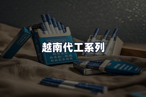 越南代工系列